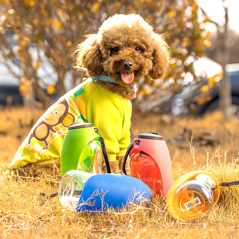Dog Water Bottles